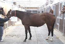 ������̼� (MODERATION) ����