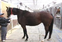 ��������Ʈ (RUN FOR DESSERT) ����