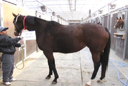 ��������Ʈ ����