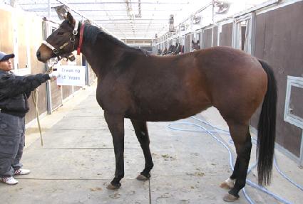 �帮�ֿ��꺣���� ����