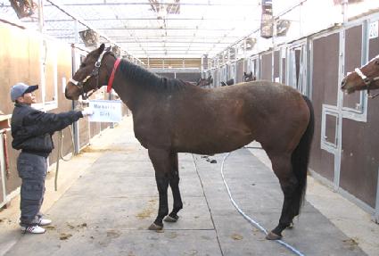 ��������� ����