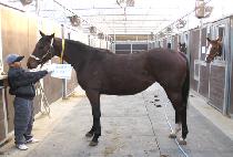 QUALITY FLOWER picture