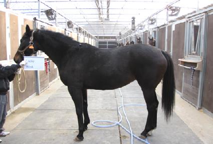 ��Ű��ũ ����