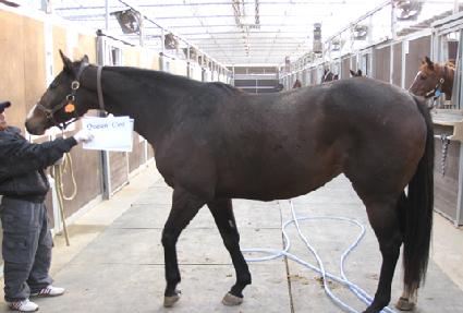 ���� ����