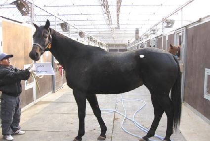 �������� ����