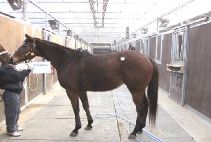 ���Ŭ���� ����