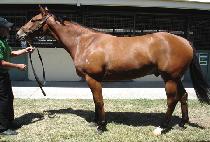 ������ (GOLD WAY) ����