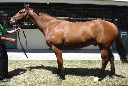 ������ ����