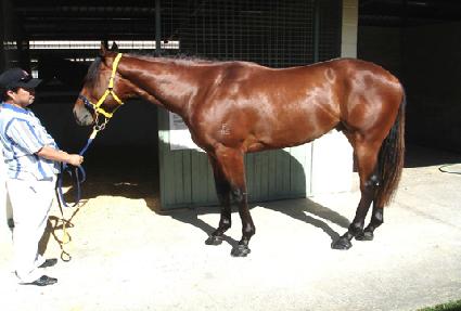 īŰȦ�� ����