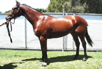 ���䷯����Ʈ ����