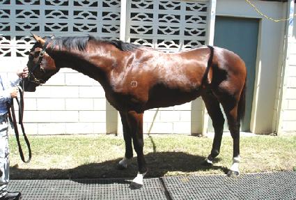 ���̺��� ����