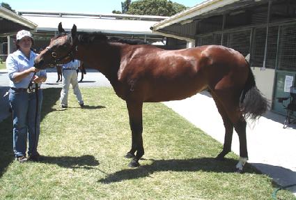 �ι��̶� ����