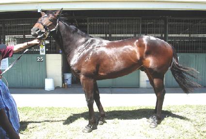 ���̿��� ����