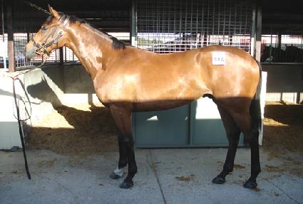 ����� ����