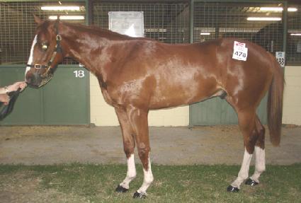 ����йи� ����