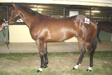 ĸƾ����� ����