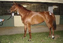 �ִϿ���Ƽ�� (ANYWAY TICKET) ����