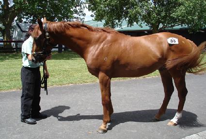 �������� ����