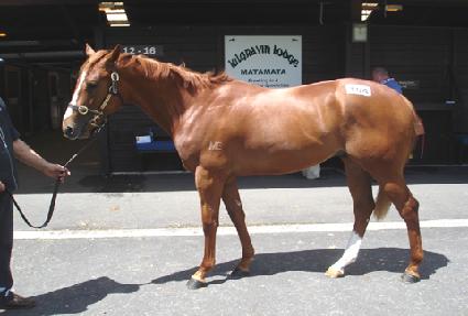 �Ž������̵� ����