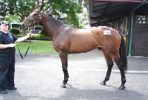 ���ۿ�� (SUPER YONGWANG) ����