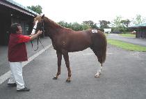 �½±��� (SEUNGSEUNGGUGU) ����