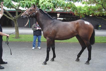 �̽��ϴ��� ����