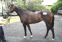 CHONGALCHEOREOM picture