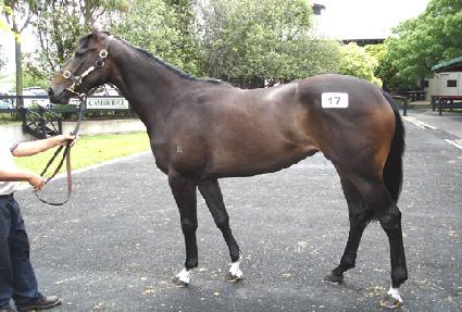 �Ѿ�ó�� ����