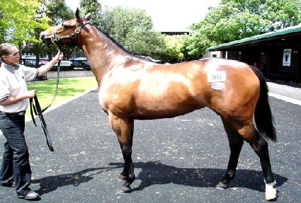 ��� ����