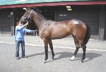 ������ũ (HAPPYWEEK) ����