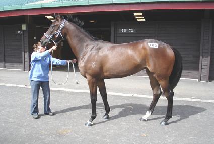 ������ũ ����