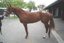 ��Ű��Ű (THE KEY LUCKY) ����