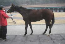 �����ϴ� (SEOULHANEUL) ����