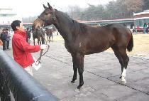 ������ (EOSACHULDU) ����