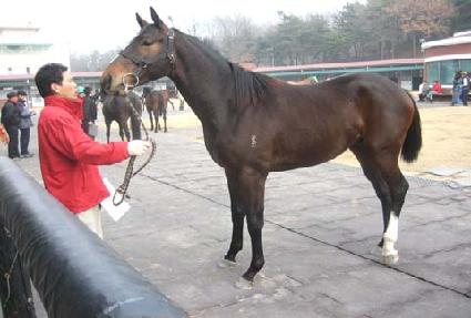 ������ ����