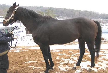 ���׽��±� ����