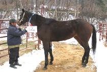 ����Ʈ������ (SWEET PRE NUP) ����