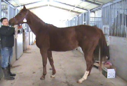 �����۰� ����