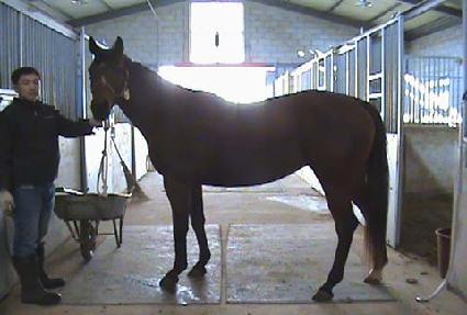 �̽��Ϳ��� ����