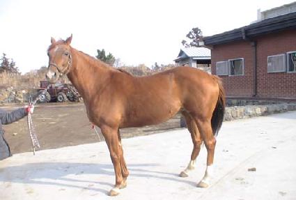 �м����Ƽ�� ����