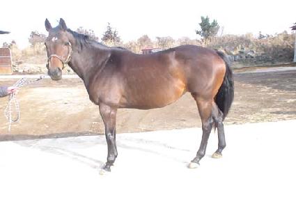 ����üũ ����