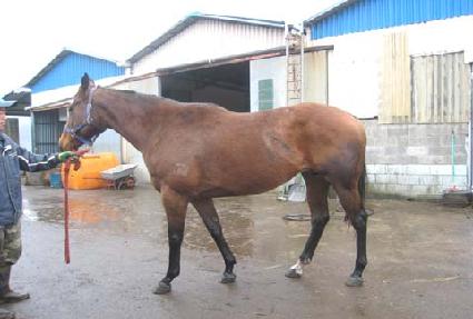 ���ٳ� ����