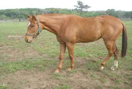 �۽�Ʈ���� ����