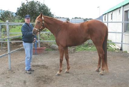 �ٿ������ ����