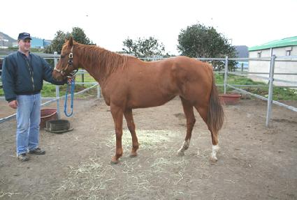 �����Ʈȣ�� ����