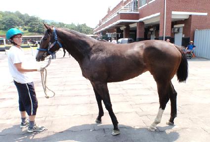 �Ʒ��̿� ����