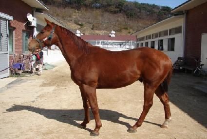 ������ ����