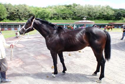 ��ݿ��� ����