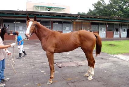 ����Ű ����