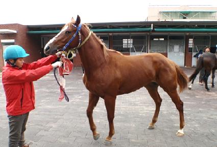 ��¦���� ����